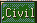 Civil